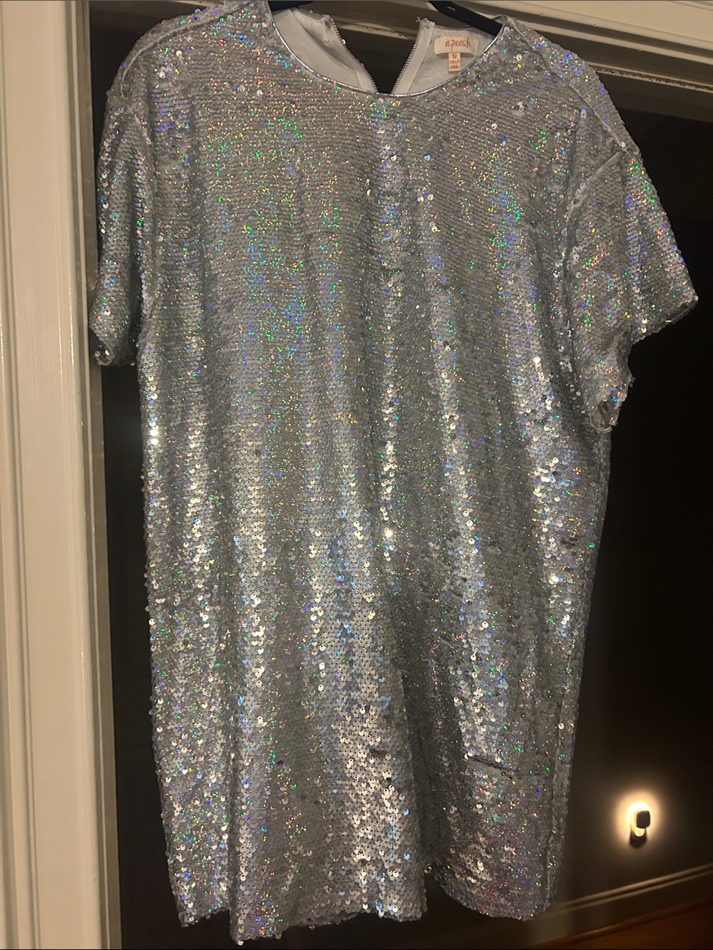 Silver Sequin Mini Dress - Sparkling Short Sleeve Shift